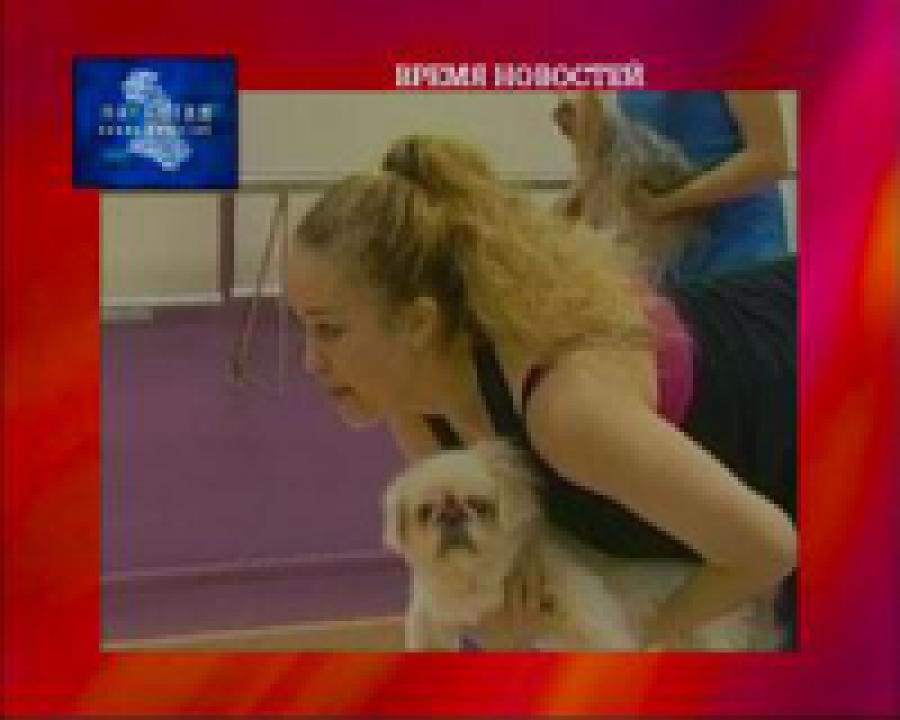 В Гонконге собак учат заниматься йогой