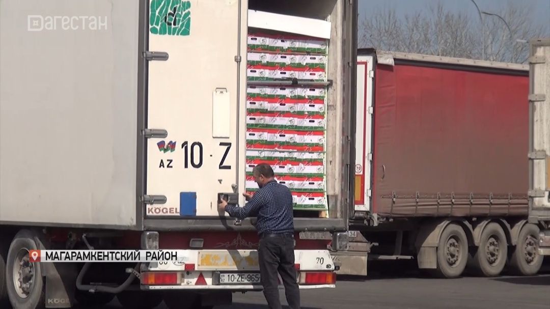 В Дагестане выявили зараженную импортную плодоовощную продукцию