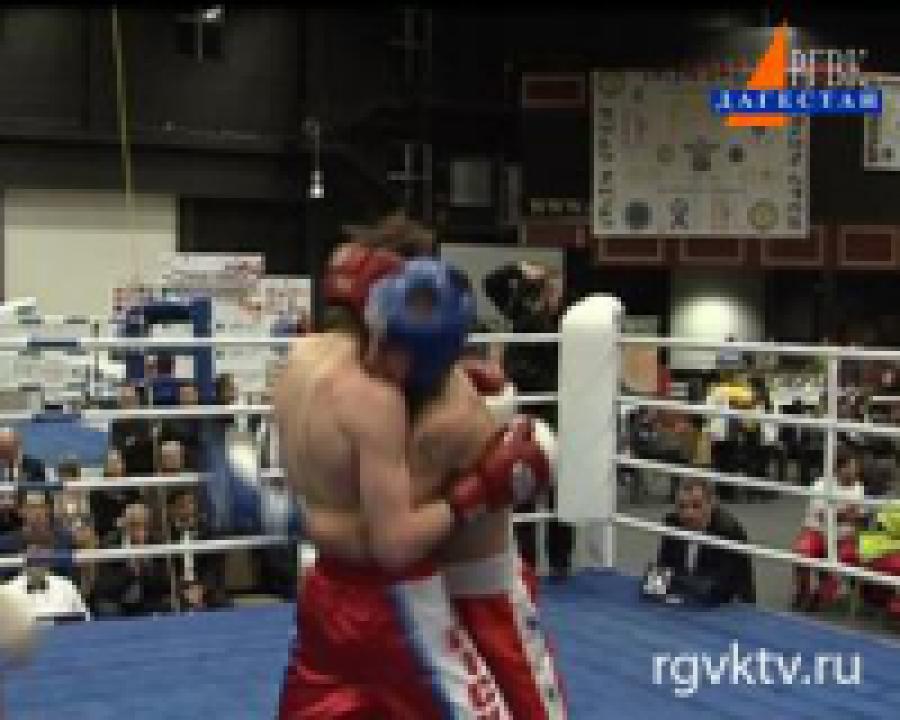 В Братиславе завершилось первенство мира по кикбоксингу