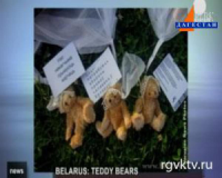 Лукашенко освободил от должности главу ВВС и ПВО страны