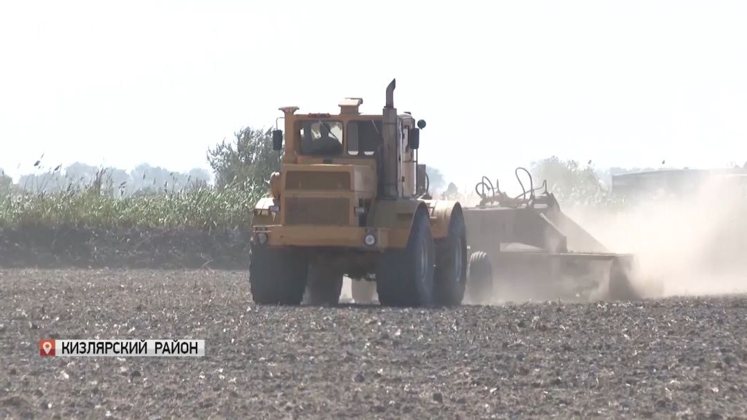 Аграрии  Дагестана приступили к весенним полевым работам