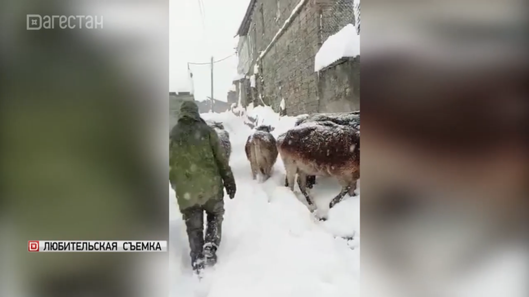 В ряде муниципалитетов Дагестана действие сильного циклона продолжается