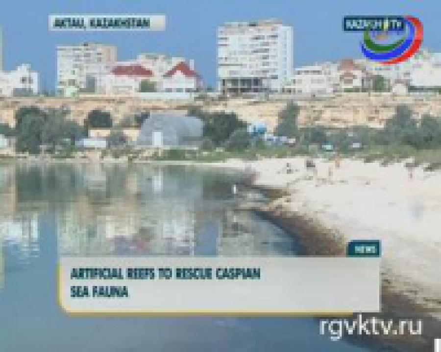 Искусственные рифы создали в акватории Каспийского моря