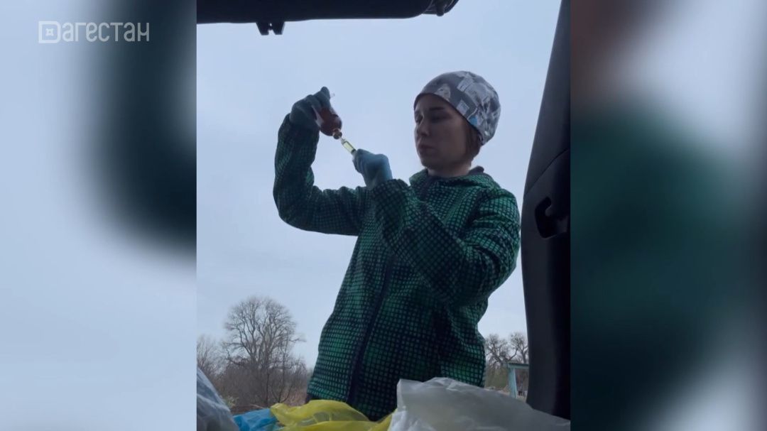 Ветеринар Анастасия Бондаренко помогает животным в Дагестане