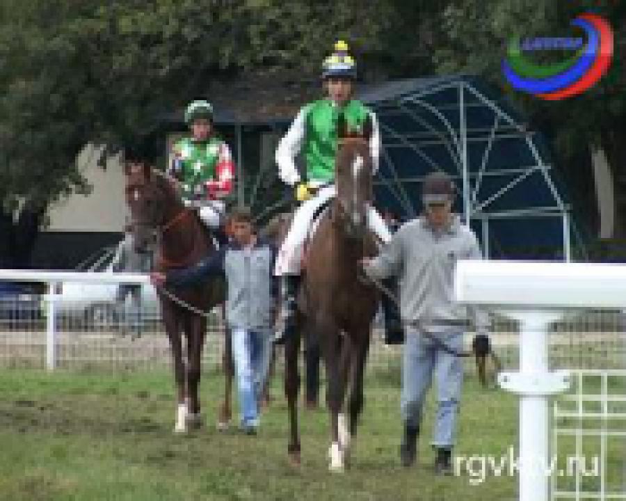 Золотой мустанг