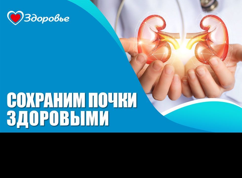 Здоровье. Болезни почек