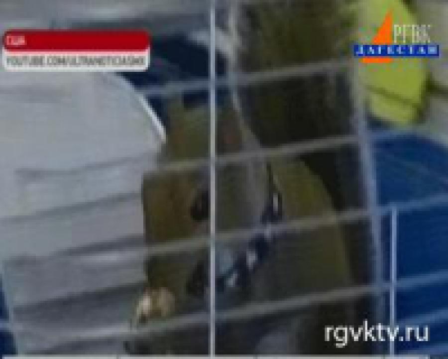 Белка Ньокки - за Ромни