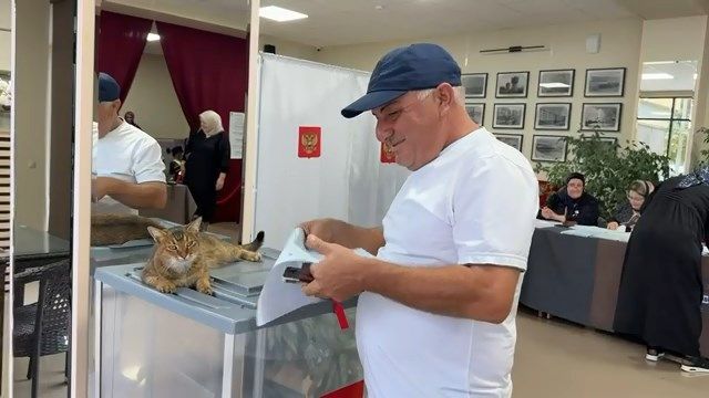 Хвостатый наблюдатель приступил к работе в Кизилюрте