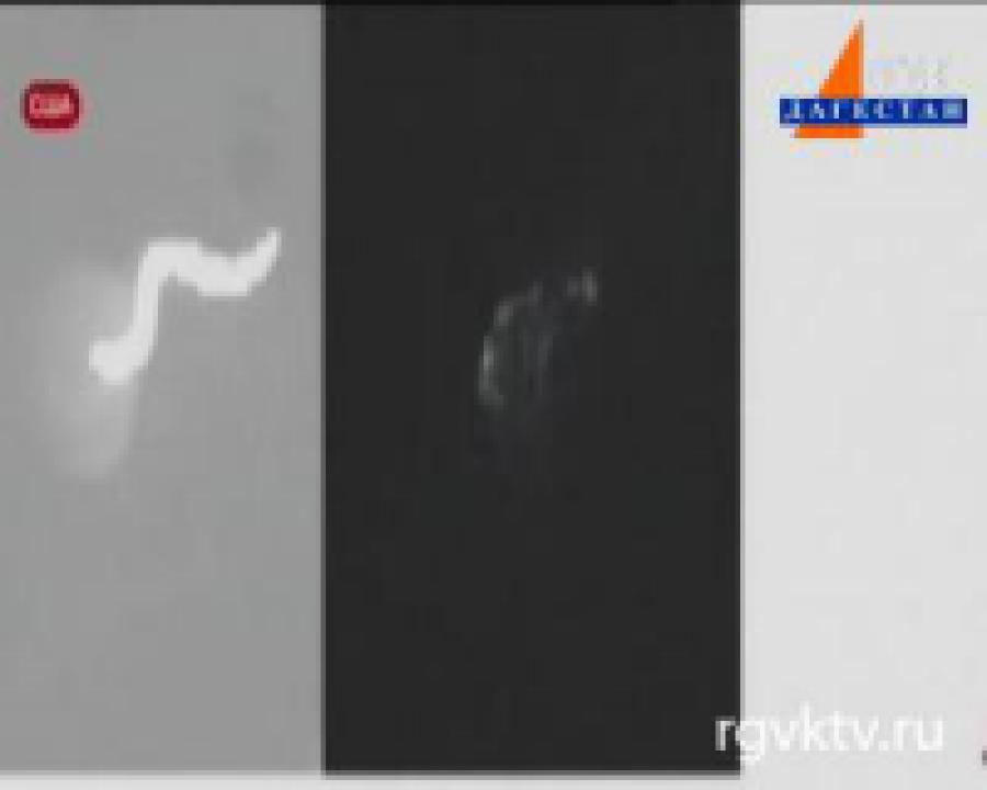 С помощью новой технологии можно управлять поведением животных