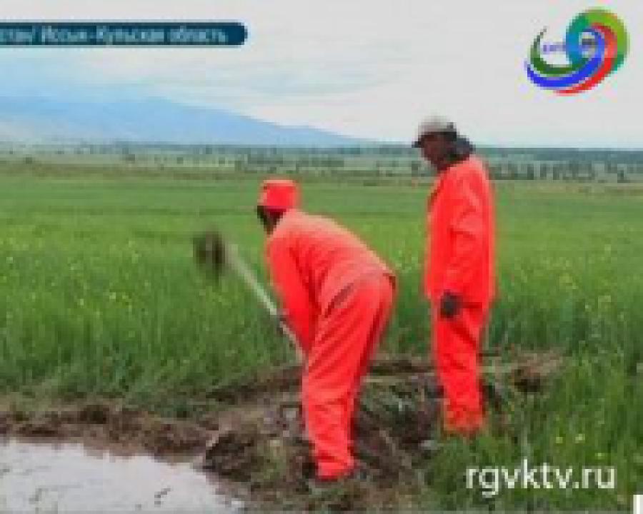 Заключенные Кыргызстана осваивают фермерское ремесло