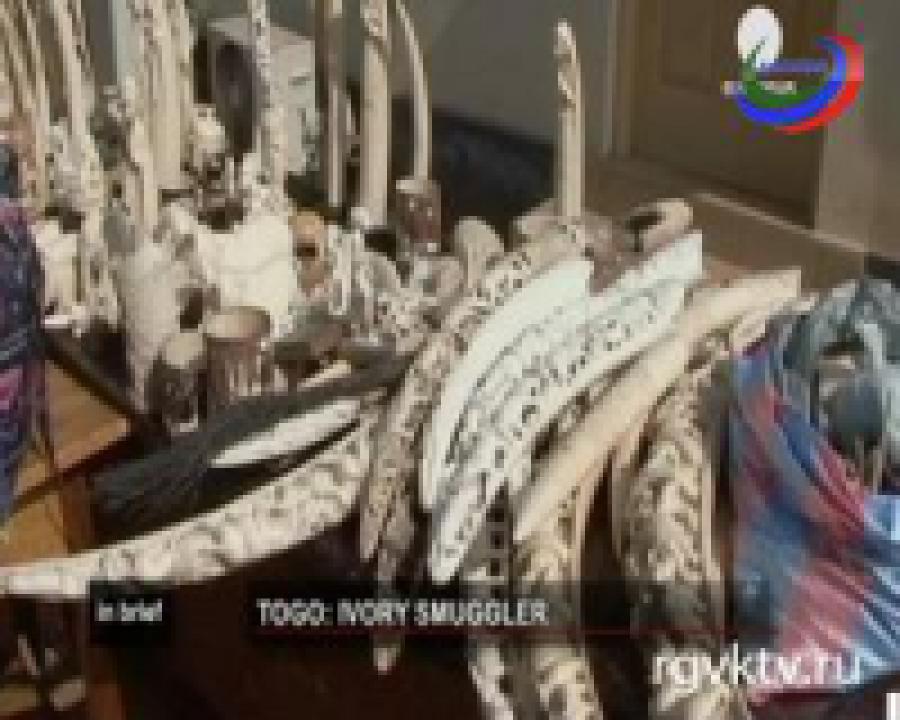 Полиция Того арестовала предполагаемых торговцев слоновой костью