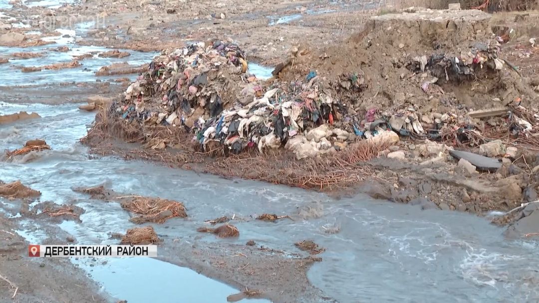 Масштабное бедствие в Мамедкале обернулось беспрецедентной волной солидарности