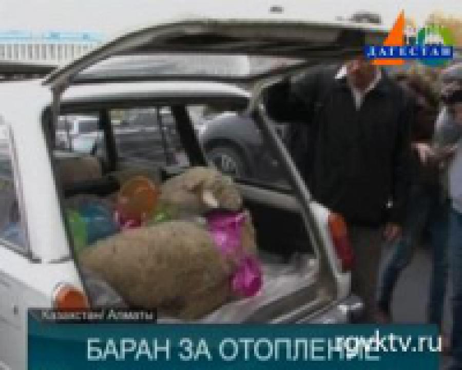 Жители Алматы накануне Курбан-Байрама решили подарить барана главе города