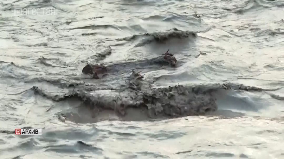 Бастрыкин потребовал доклад по делу загрязнении воды в реке в Дагестане 