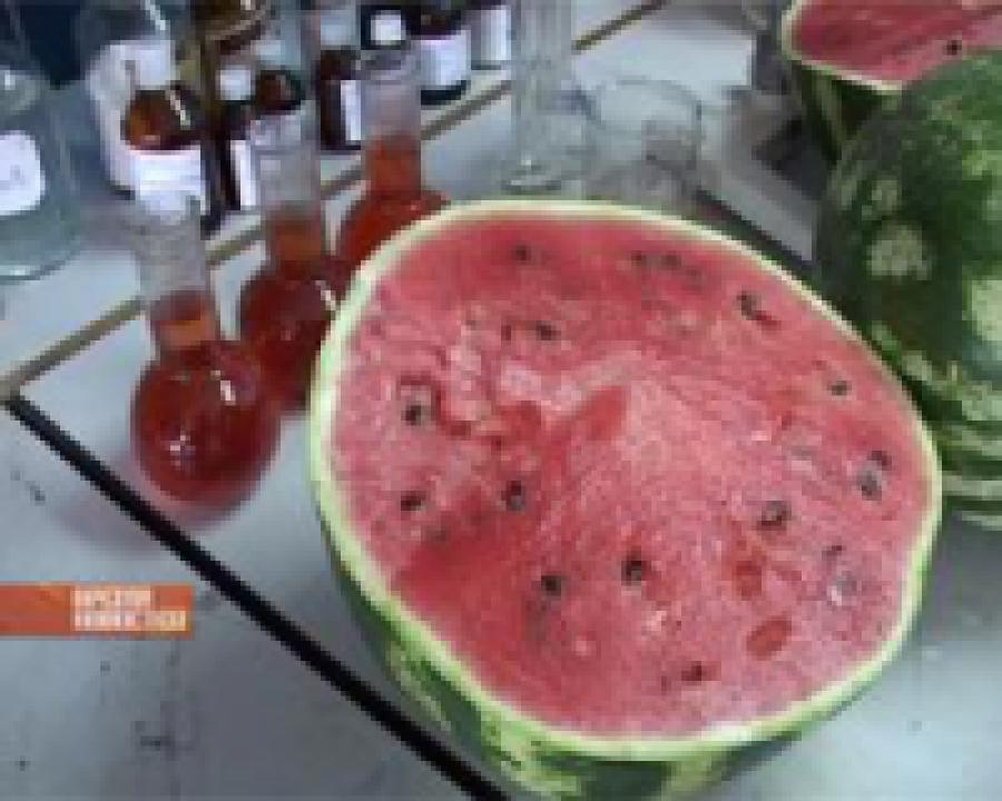 Управление россельхознадзора по РД провело проверку некоторых арбузов на наличие нитратов и пестицидов
