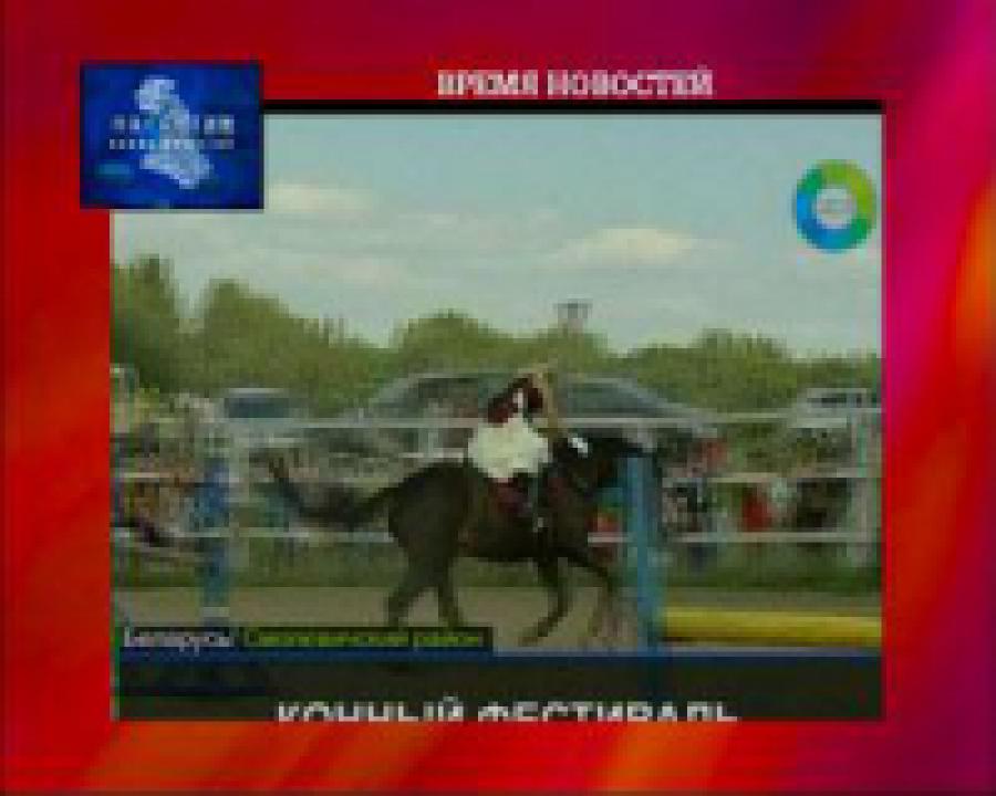 Под Минском прошел первый белорусский конный фестиваль