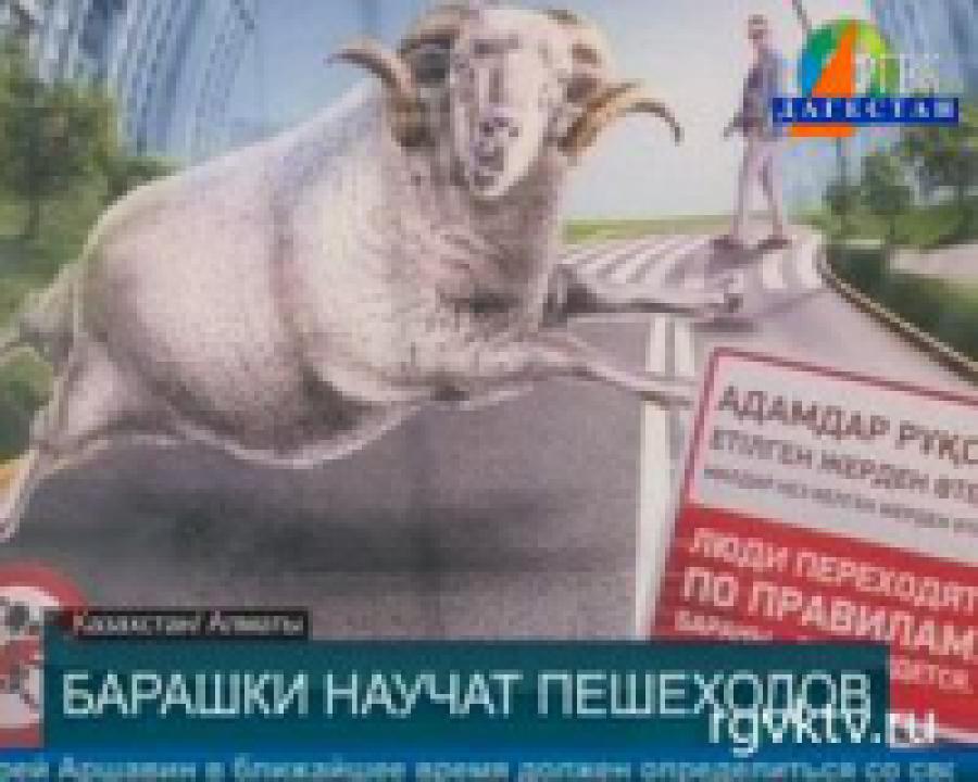 Социальная реклама на улицах Алматы возмутила граждан