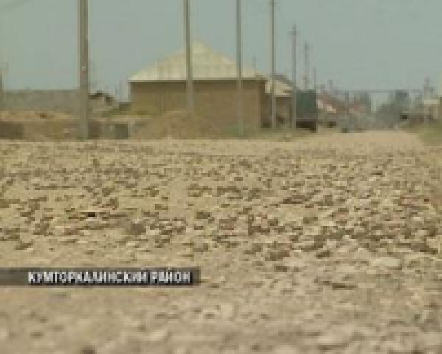 Сельхозугодия Кумторкалинского района оказались под угрозой нашествия саранчи