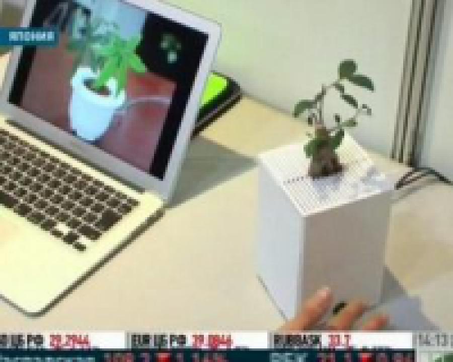 В Японии выращивают растения, наделенные интеллектом