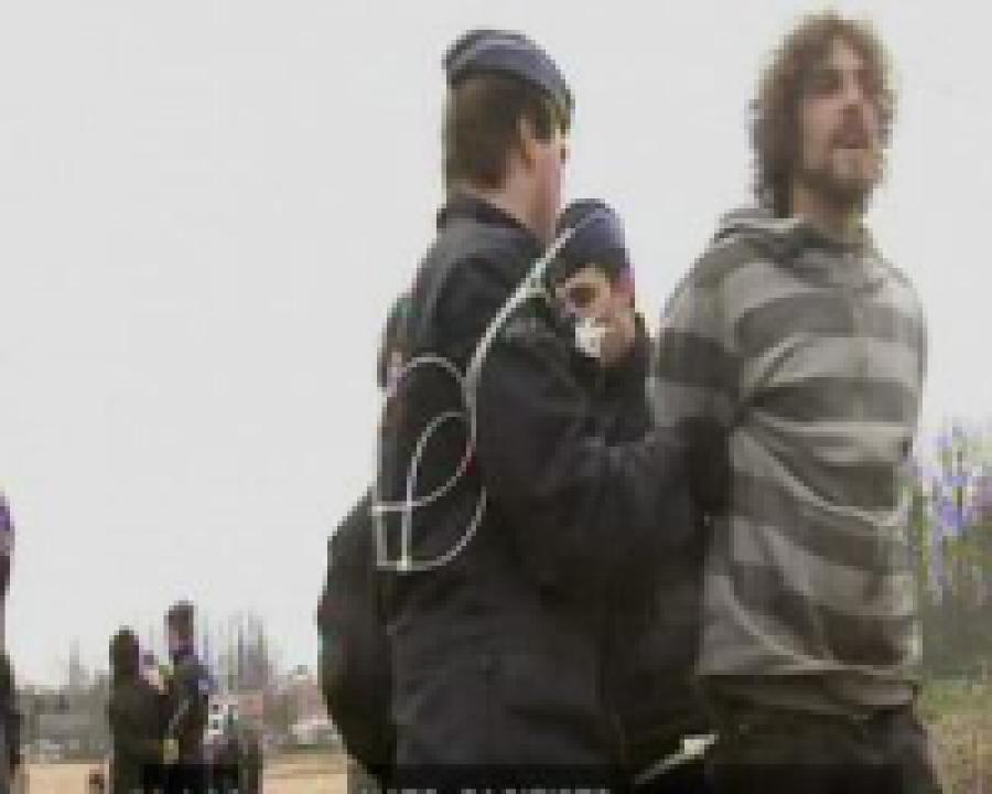 В Брюсселе задержаны около 500 пацифистов