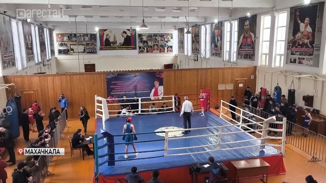 Городское первенство по боксу прошло в Махачкале 