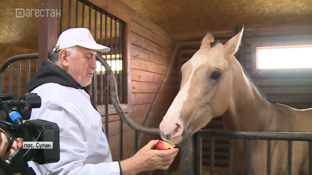 Председатель правительства Абдулмуслим Абдулмуслимов  посетил конно- спортивный клуб «Олимп»