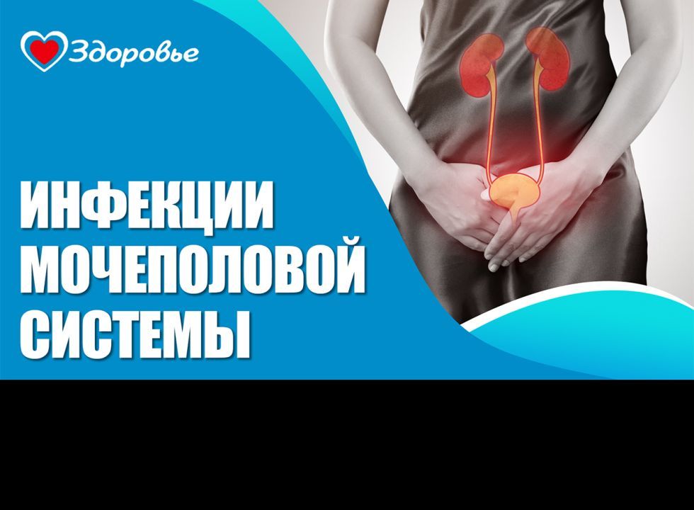 Здоровье. Инфекции мочеполовой системы